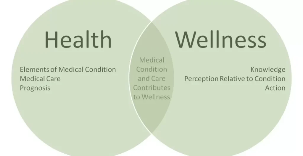 Interchangeable Terms? Clarifying the Confusion