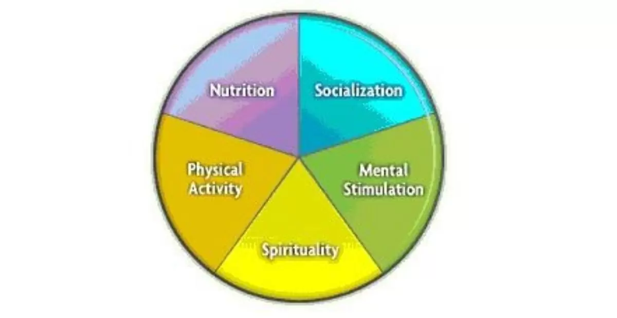 What Are The 5 Components Of Health And Wellness?