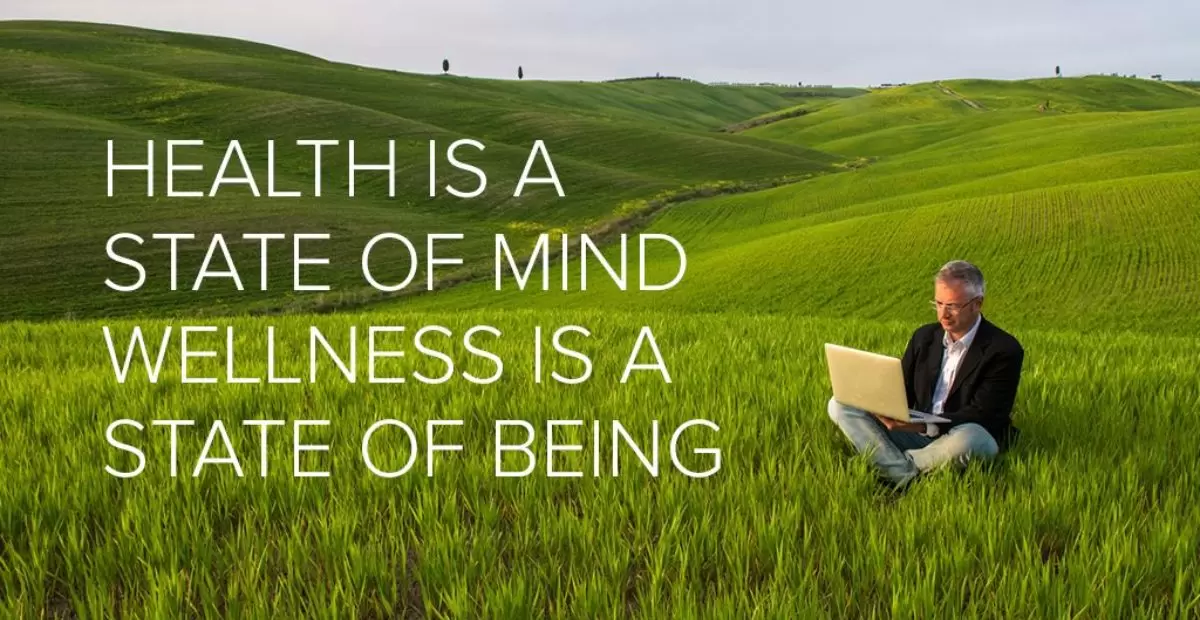 What Is The Difference Between Health And Wellness?