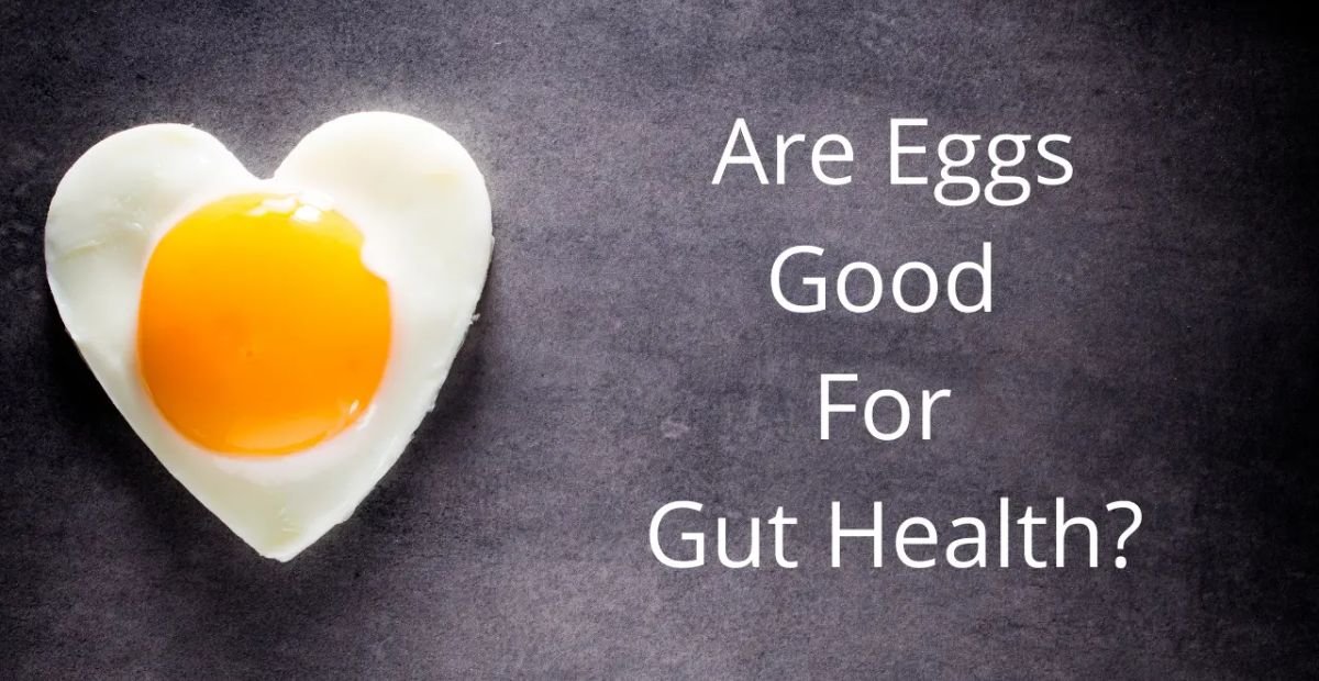 Are Eggs Good For Gut Health?