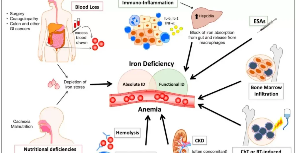 Potential Risks Associated with Untreated Anemia