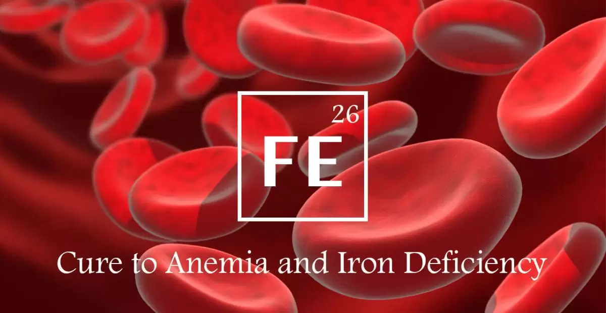 What Is Anemia? A Complete Guide For Beginners