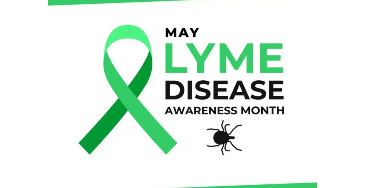 Patient Education in Lyme Disease Management