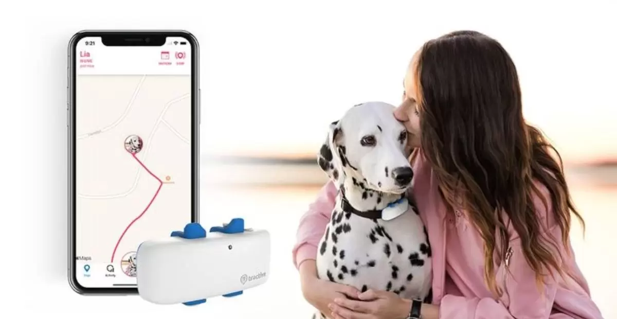 Tractive XL GPS Tracker & Health Monitoring for Dogs